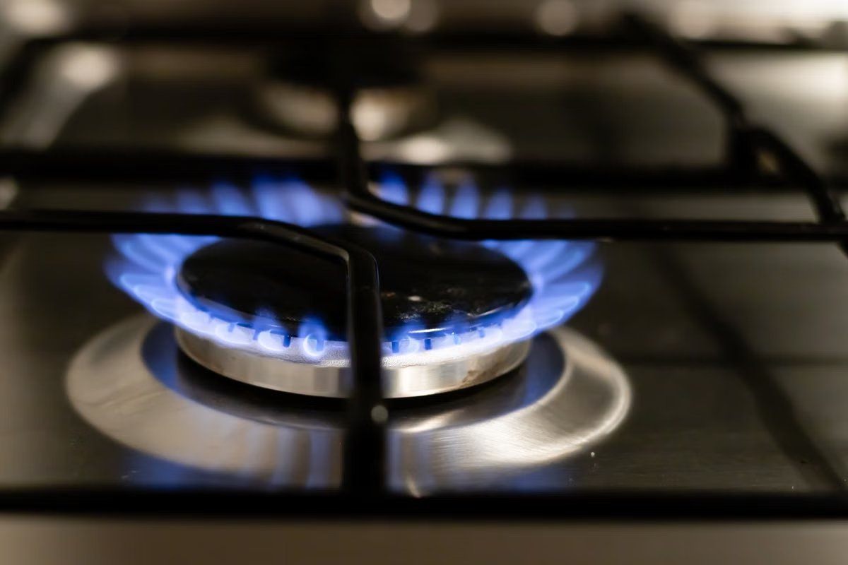 Gas hob burner with an even blue flame